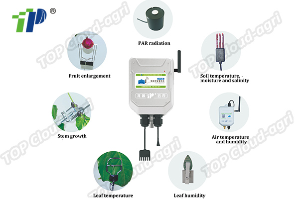 Plant Physiology and Ecology Monitoring System