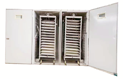 Gold Supplier Large Poultry Incubation Equipment
