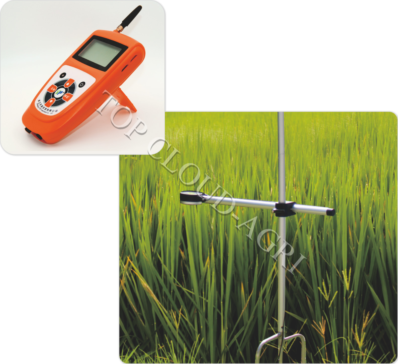 Plant Canopy Structure Analyzer