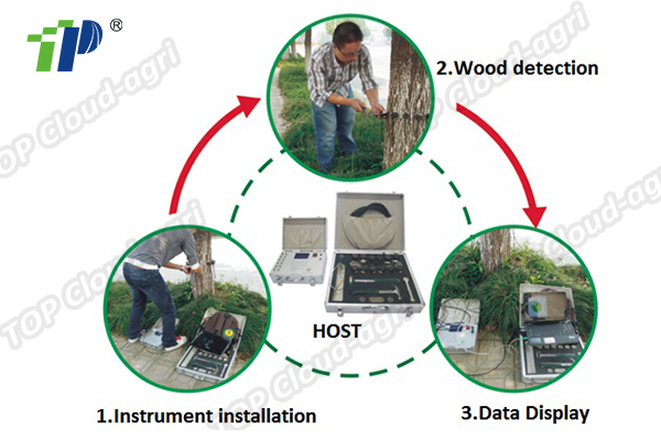 Plant Nondestructive Detector