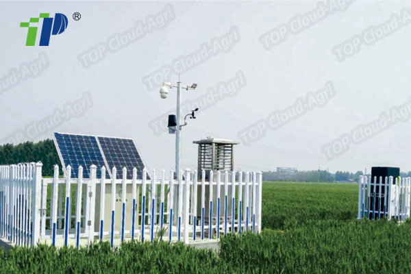 Remote Camera Type Pest Forecast Light Trap