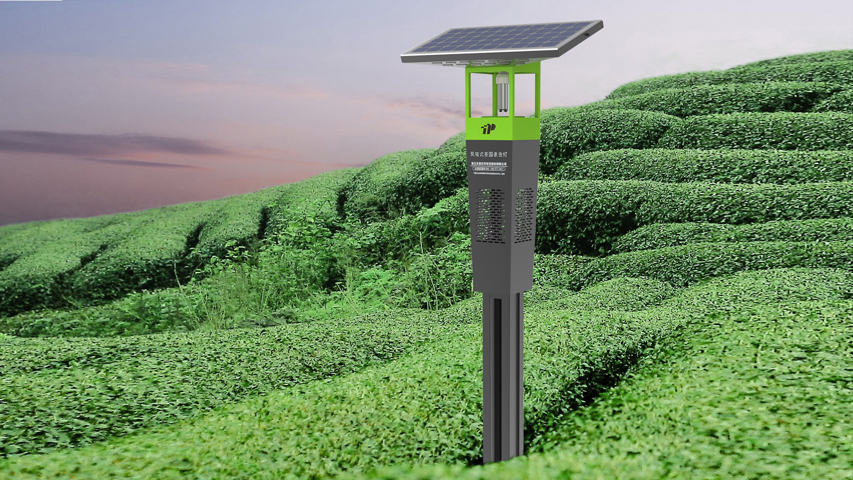 Wind Suction Pest-killer provides prevention and control technology for tea planting base