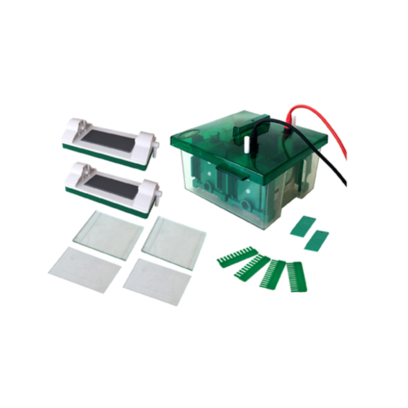 JY-Mini-P4 Vertical Mini Protean Electrophoresis Cell