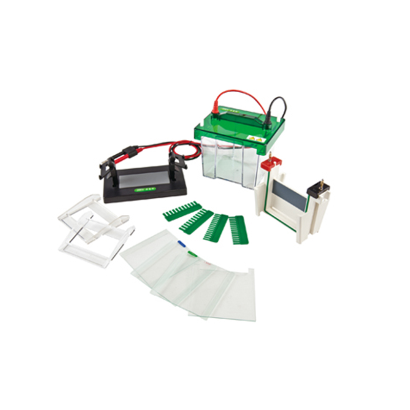 JY-SCZ2+ Mini-Protean Vertical Electrophoresis Cell