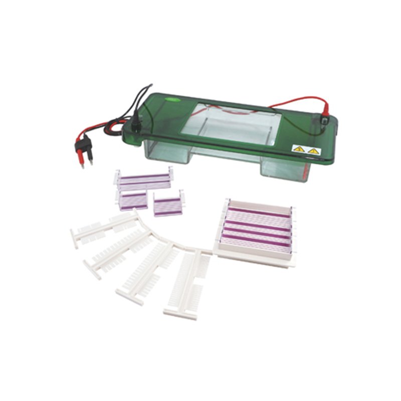 JY-SPDT Horizontal Electrophoresis Cell