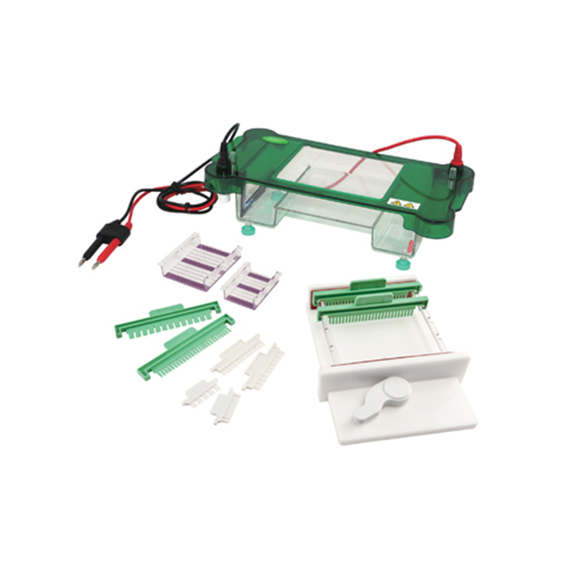 JY-SPFT Horizontal Electrophoresis Cell