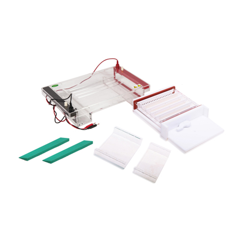 JY-SPGT-1 Horizontal Electrophoresis Cell