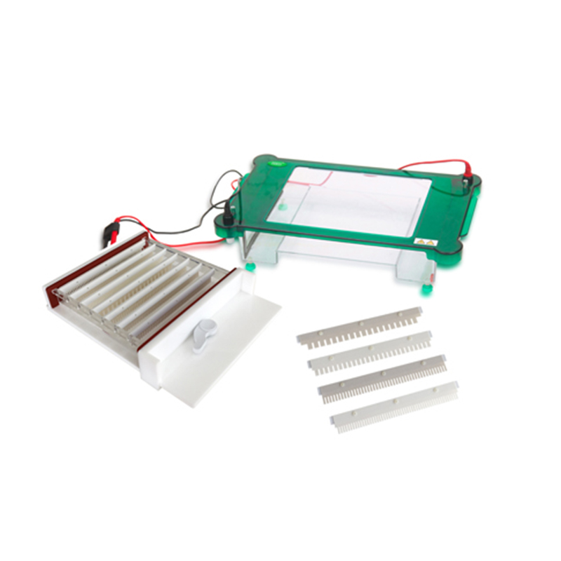 JY-SPHT Horizontal Electrophoresis Cell