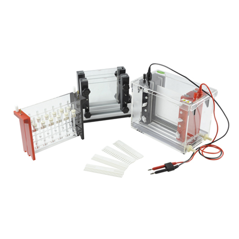 JY-SX3 2D Gel Electrophoresis System