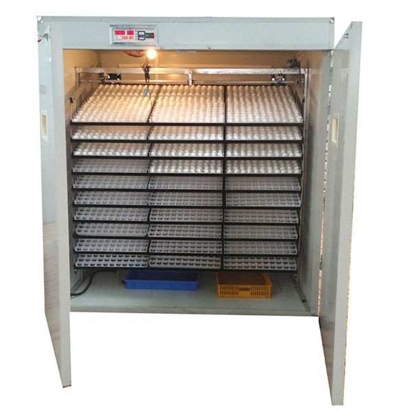 TP5000 Incubator For Egg