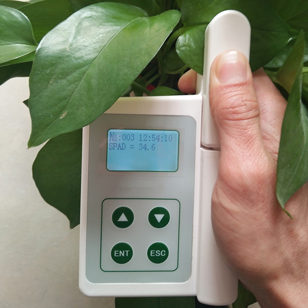 Portable Leaf Chlorophyll Meter