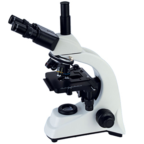 Hot Selling Mobile Biological Microscope