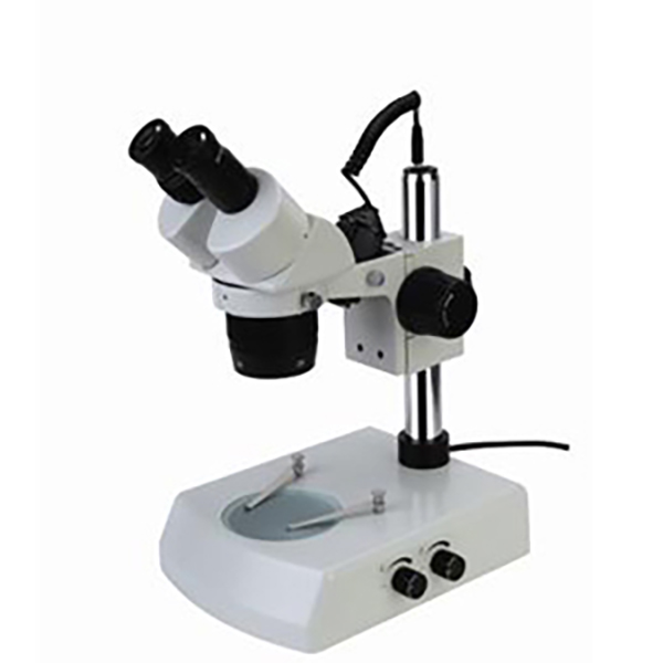 Portable Fixed File Zoom Stereo Microscope