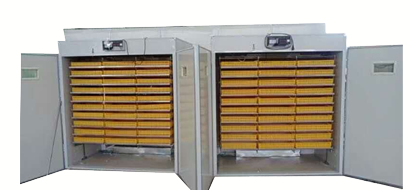 Inexpensive Medium Capacity Egg Incubator