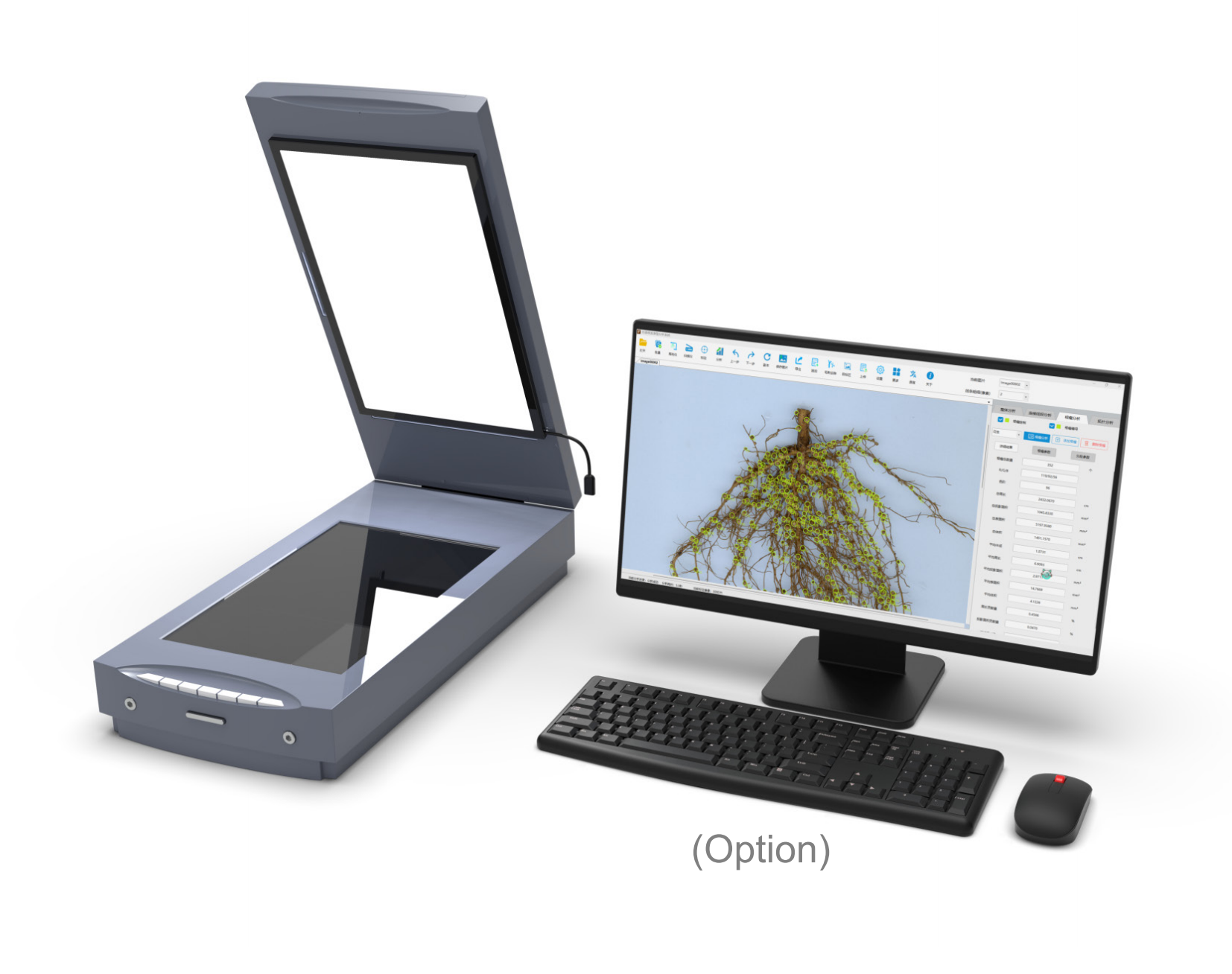 Plant Root Phenotype Analysis System