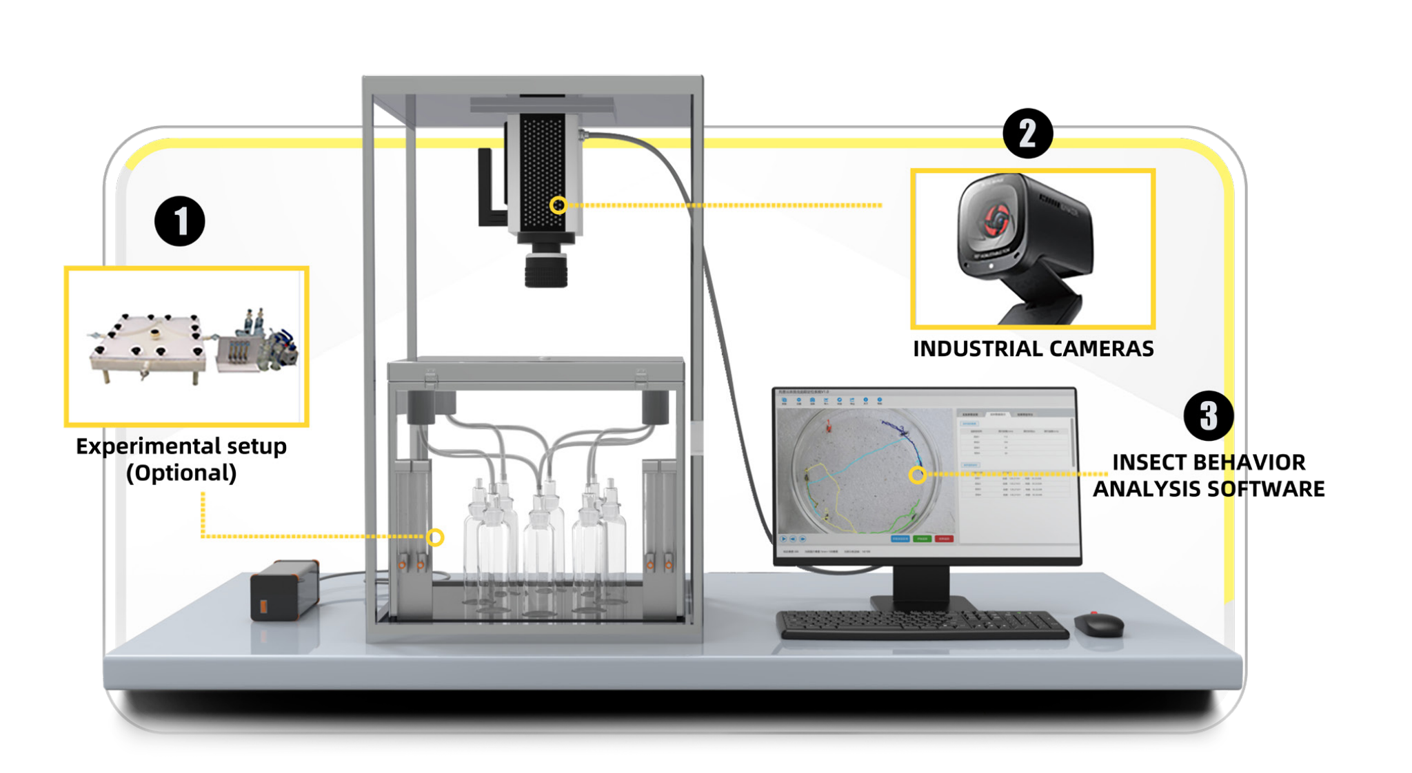 Insect Behavior Tracking and Analyzing System