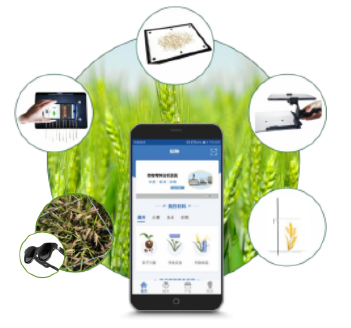 Wheat Panicle Shape Measuring Instrument