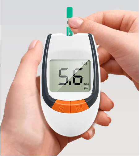 Blood Glucose Meter