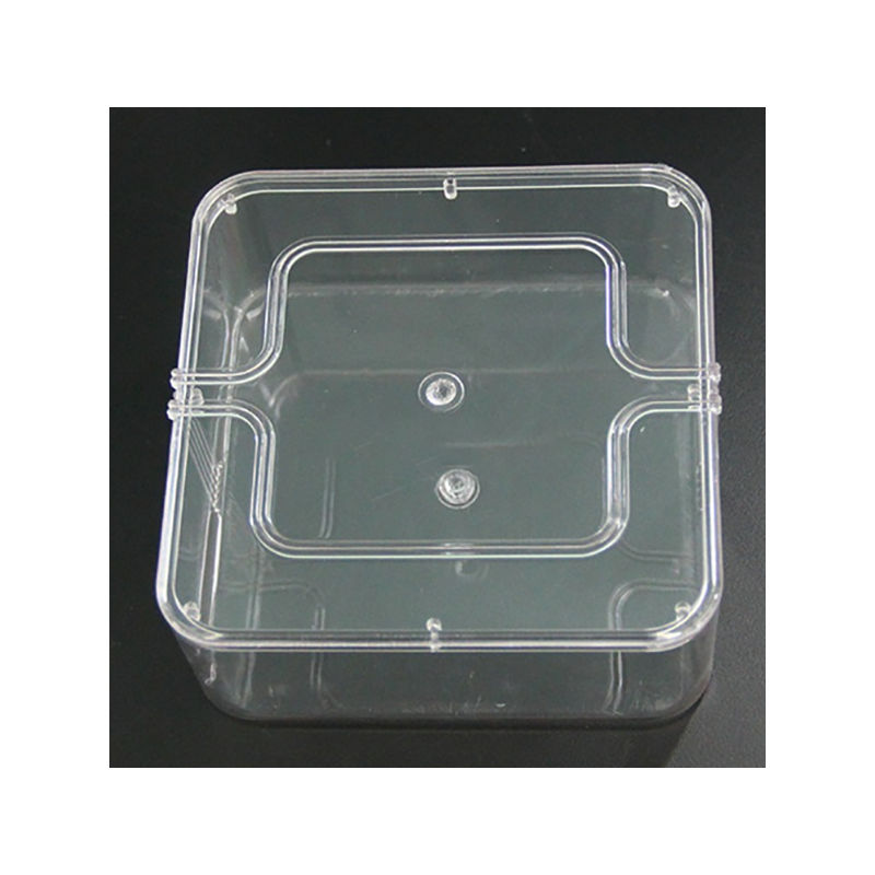 12*12cm / 13*19cm Seed Germination Box