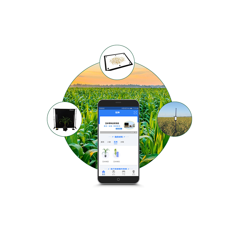 TPY-BX-1 Corn Phenotype Detection System