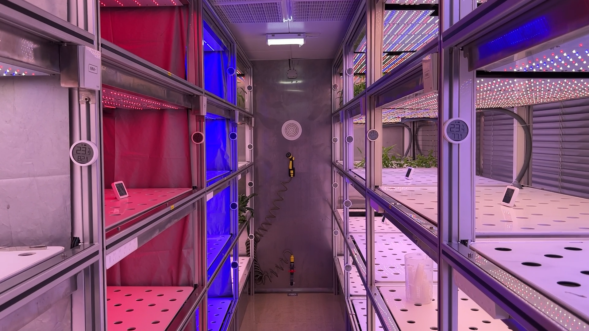 Plant Pathology Research Room