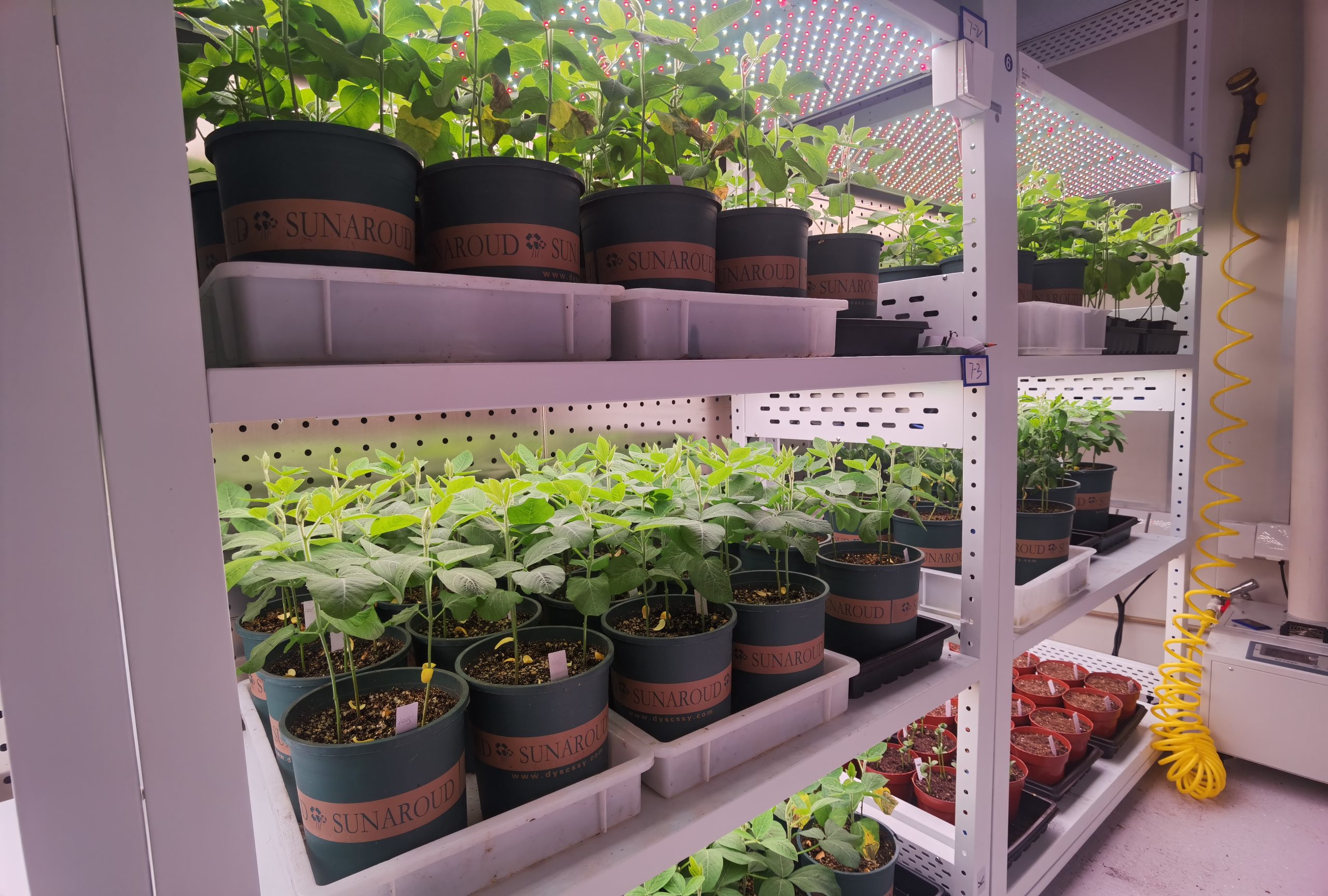 Seedling Nursery Growth Room
