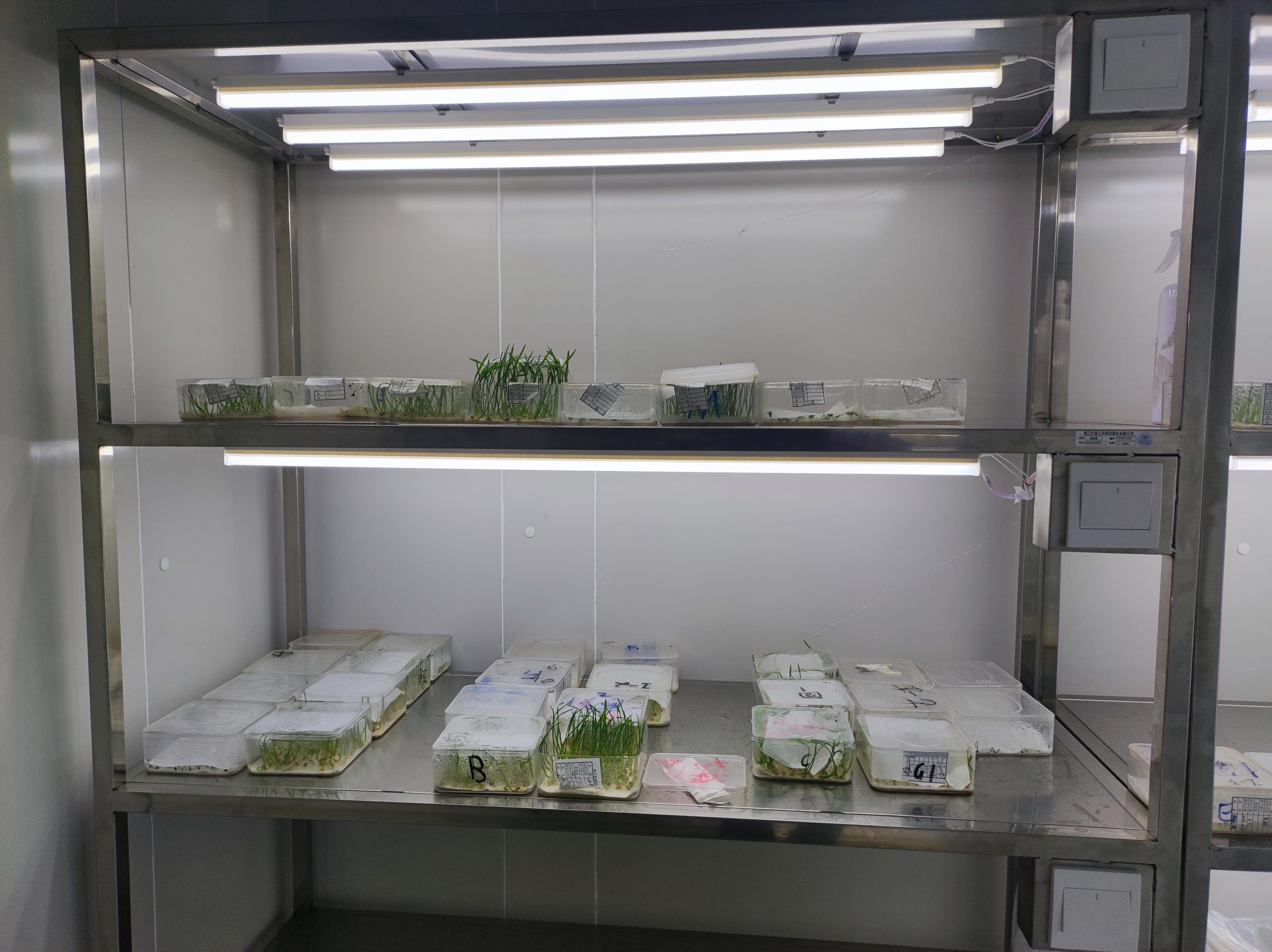 Seed Germination Room