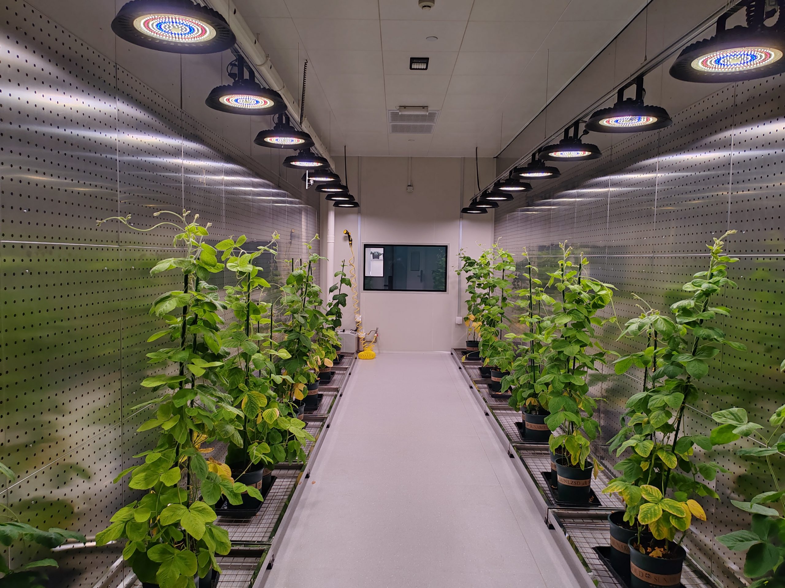 Plant Growth Room