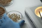 Plant breeding companie