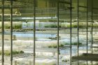 University agricultural laboratories